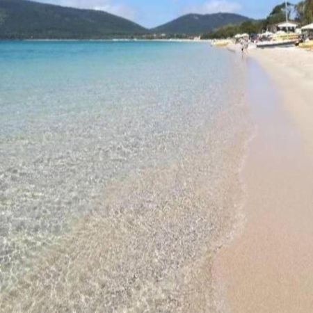 Camera Serraona Αλγκέρο Εξωτερικό φωτογραφία