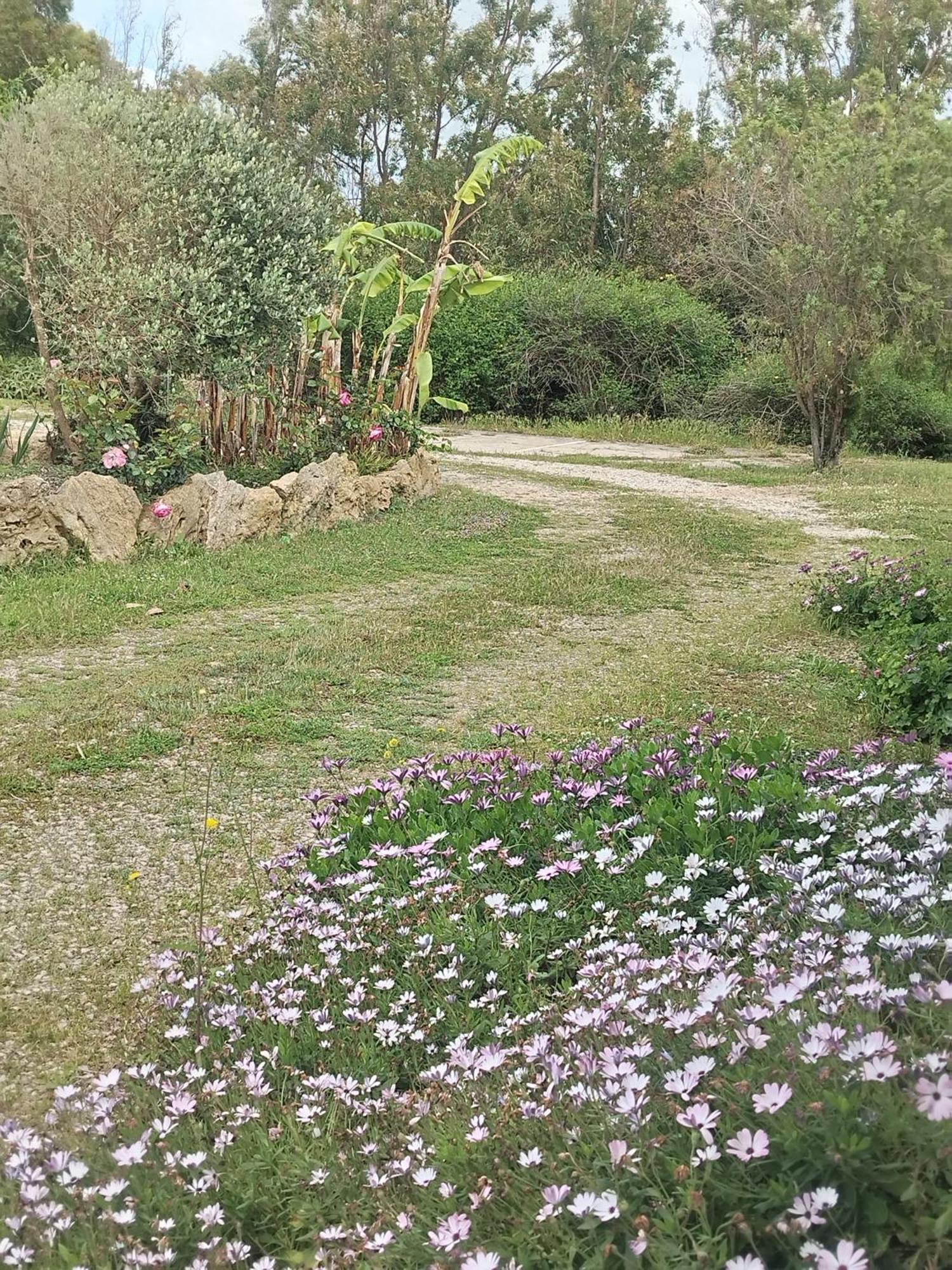 Camera Serraona Αλγκέρο Εξωτερικό φωτογραφία